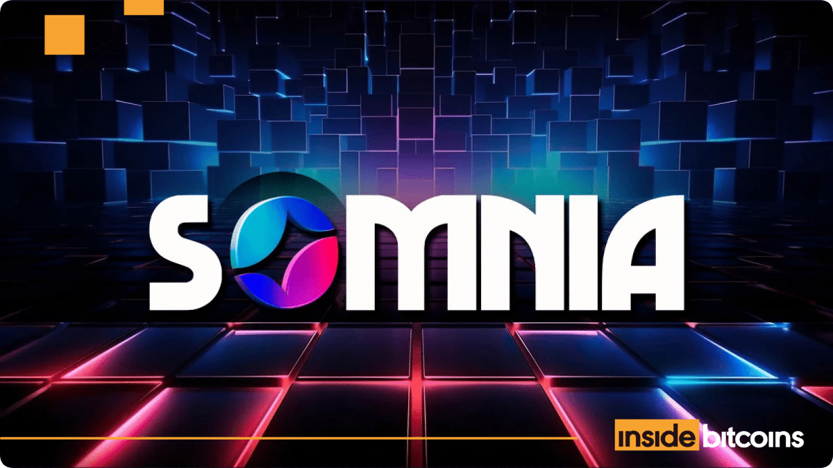 NFT Marketplace RaRIBLE suteikia paramą Somnia NFTS