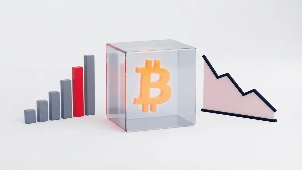 DCF nuolaida prieš BTC pajamų gavimo riziką